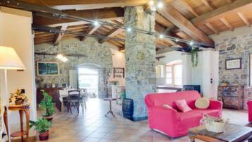 TV, fireplace, DVD player