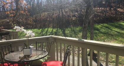 Mountain Escape en el condominio "Wine-tergreen"