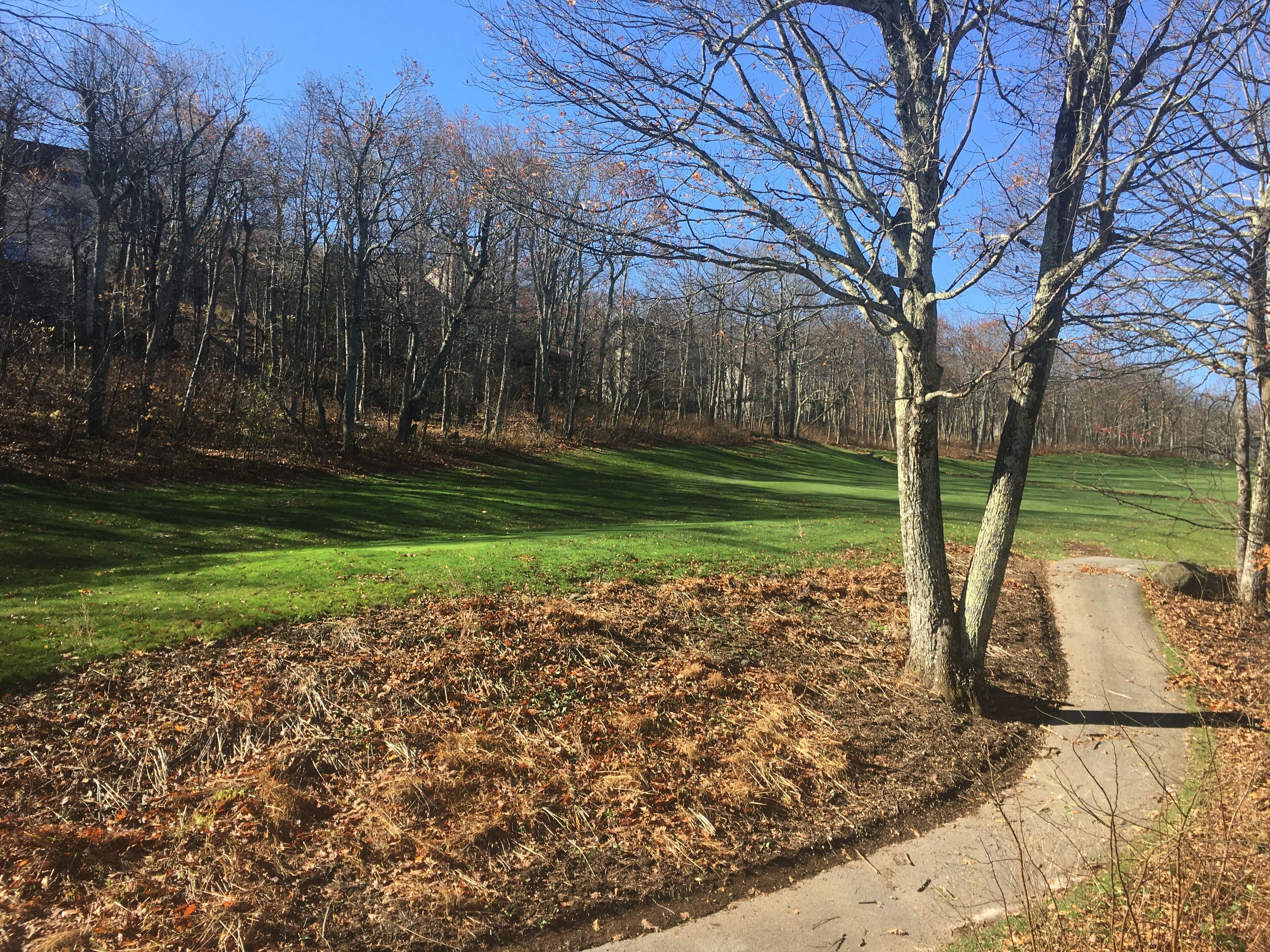 A golf course with a dirt path, green grass, and leaf-covered ground.