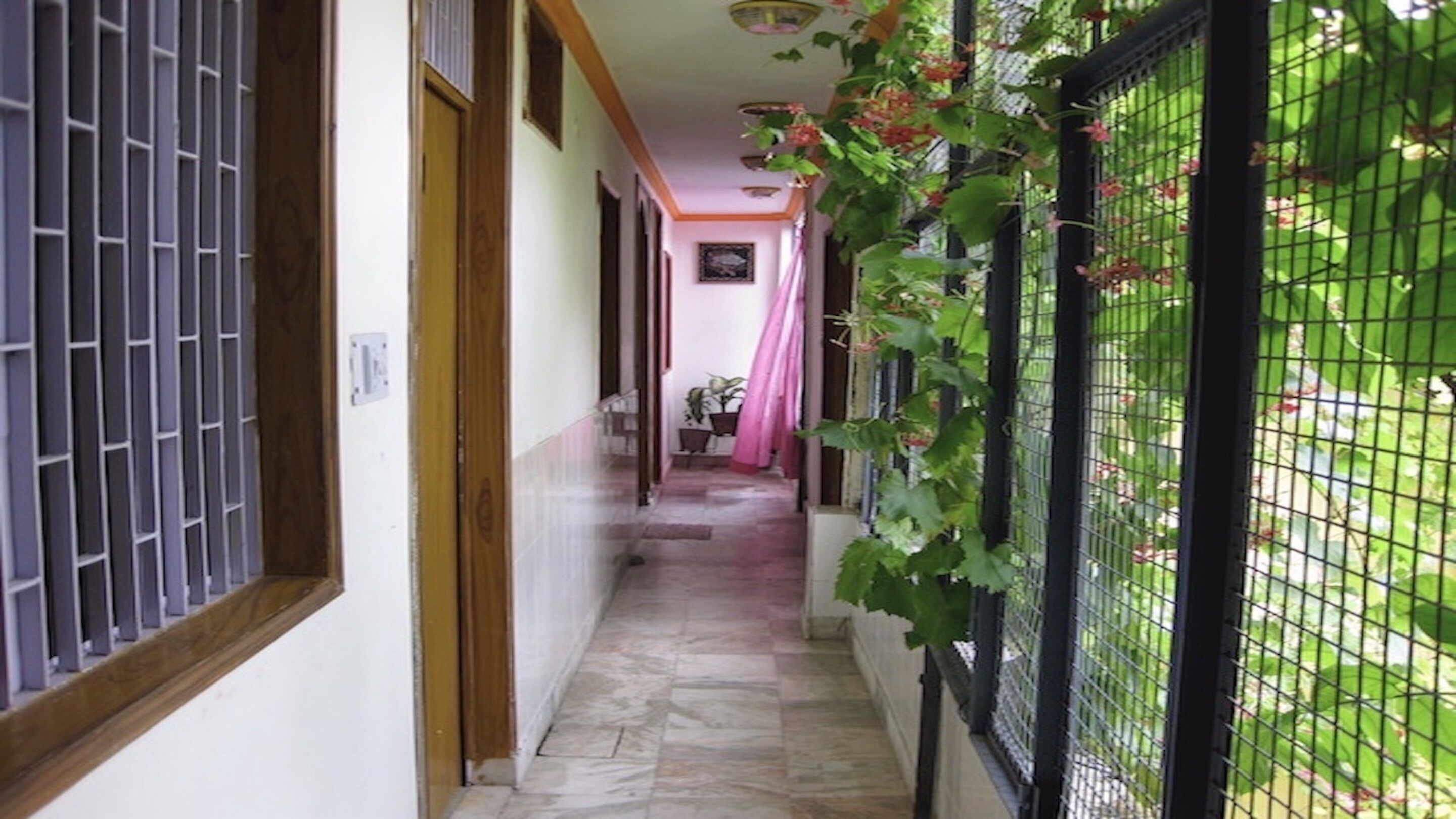 Foto - Saniya palace