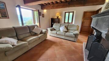 TV, fireplace, DVD player