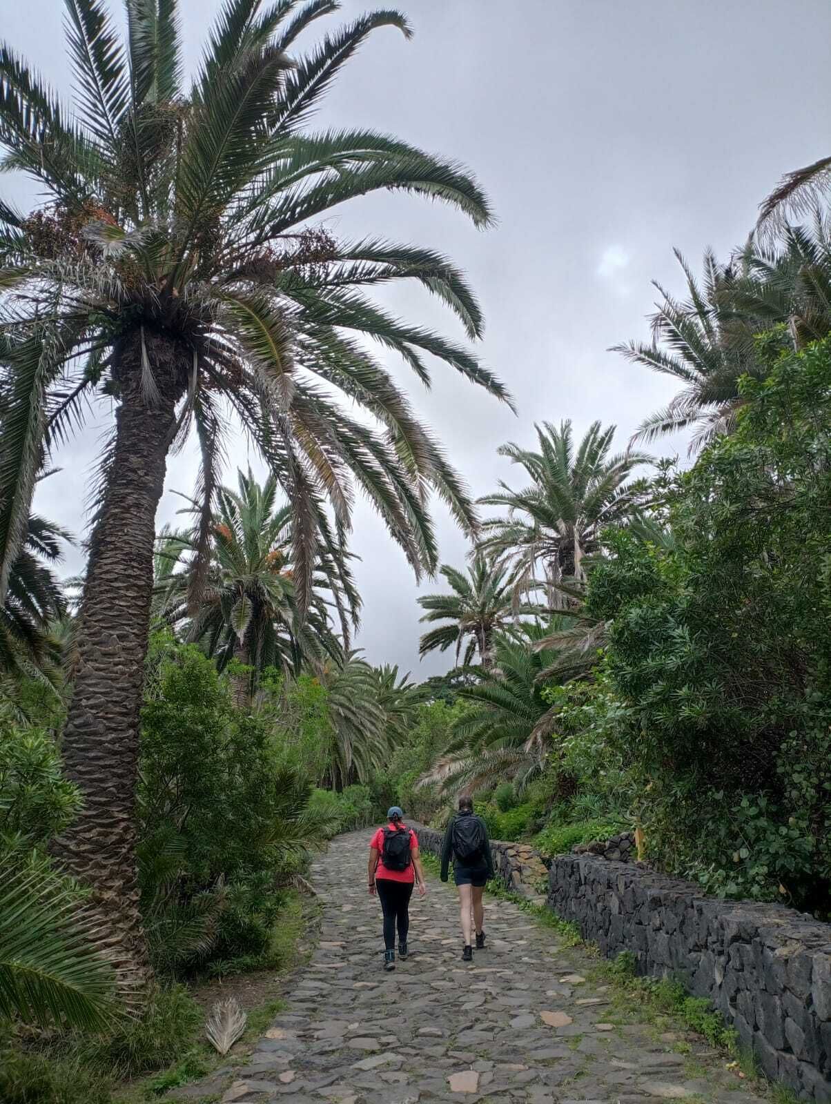 Foto - Arena Nest Hostel