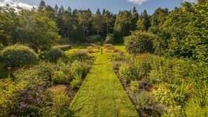 Ein Garten mit einem zentralen Weg, umgeben von verschiedenen Pflanzen und Bäumen.