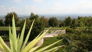 Um jardim arborizado com vista para um horizonte urbano distante.