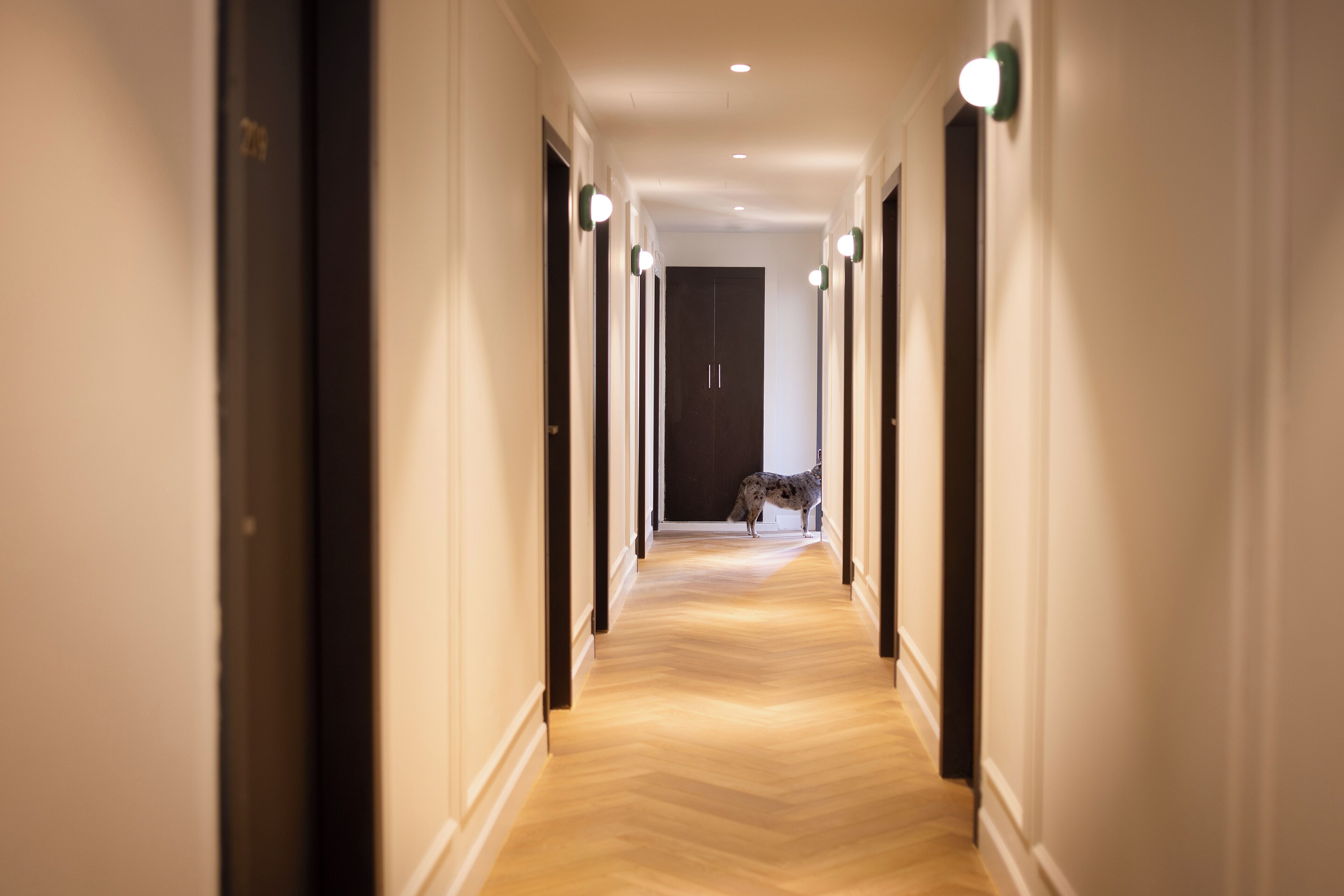 A long, narrow hallway with wooden flooring and white walls, leading to a dark door at the end.