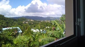 Blick aus einem Fenster auf eine üppige Landschaft mit Bergen in der Ferne und vielfältiger Vegetation.