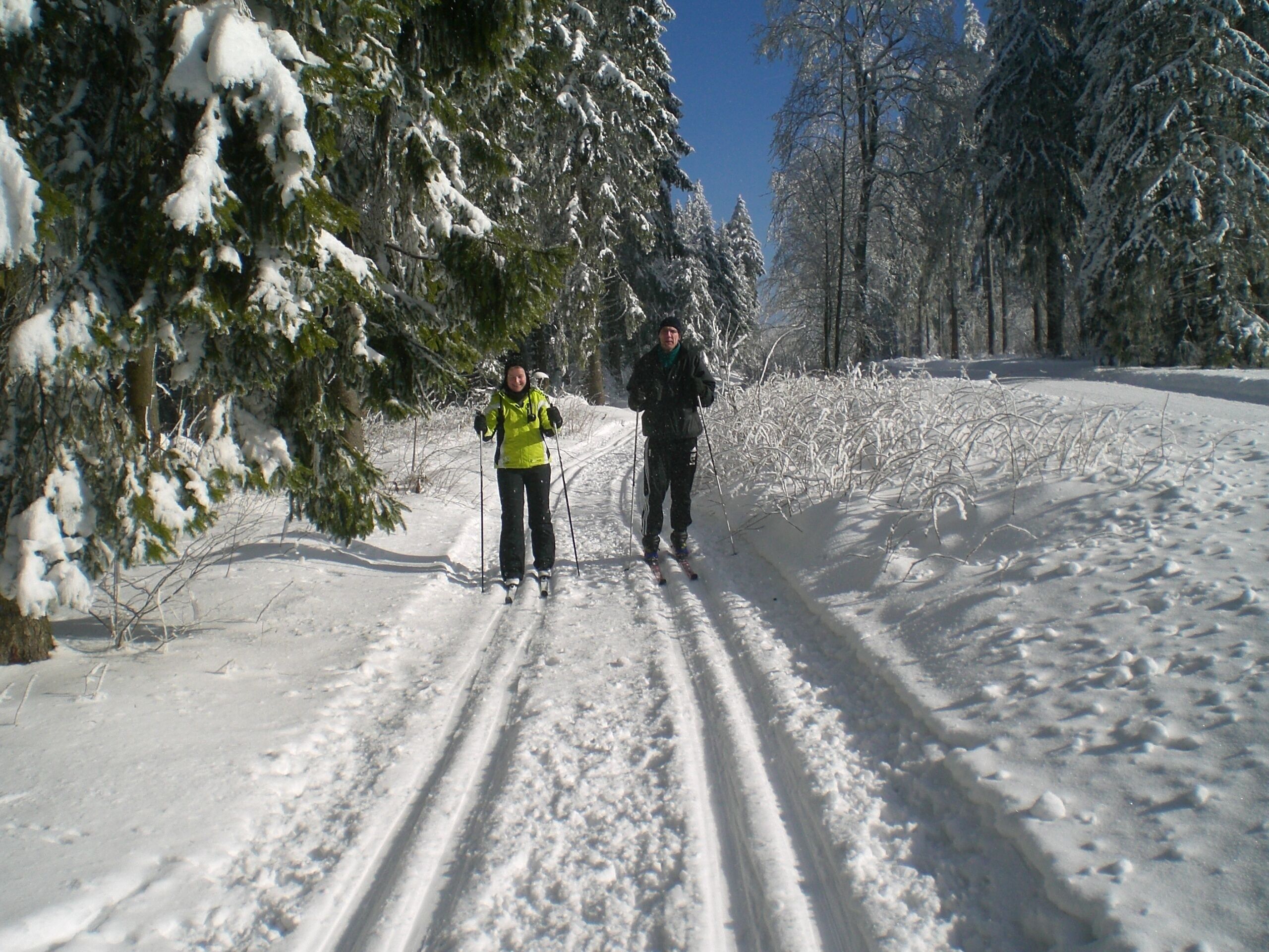 A snowy path with trees on both sides.