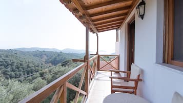 House, 1 Bedroom | Terrace/patio