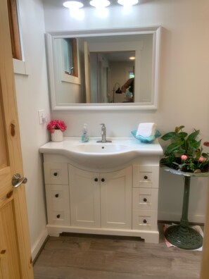A bathroom with a white sink, a mirror above it, and a small potted plant on the right.