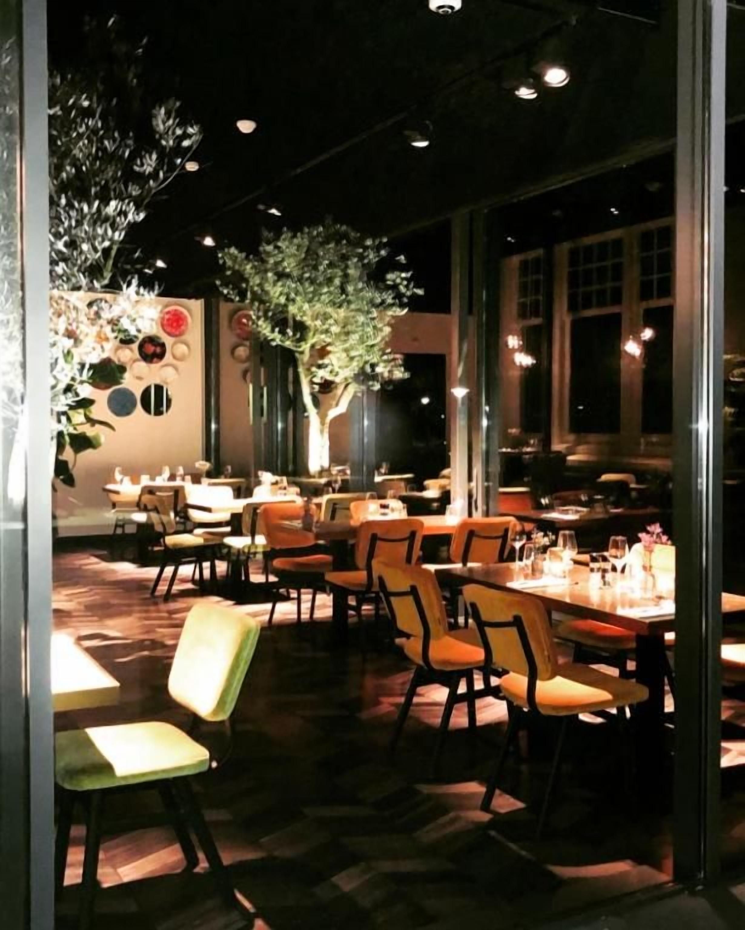 Un comedor interior con mesas y sillas, un ventanal grande y un árbol visible a través del ventanal.