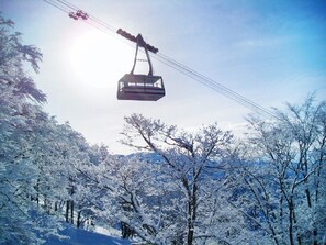 A cable car suspended over a snowy forest.