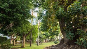 A park with a large tree, a stone wall, and a grassy area. - Lovely apartment for 7 guests with pool, WIFI, A/C, TV and terrace (Torremolinos)