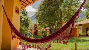 Una hamaca en un patio con suelo de baldosas, rodeada de follaje y una montaña al fondo.