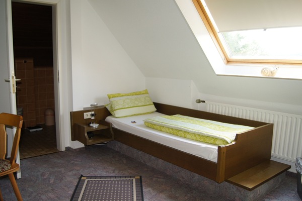 Standard Single Room | Desk, WiFi (free), bed sheets