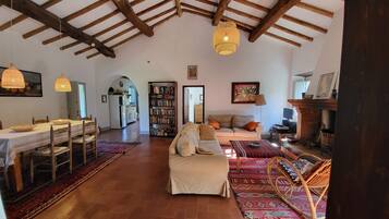 Télévision, cheminée, table de tennis de table, livres