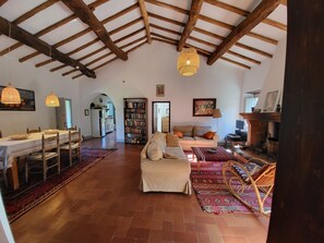 Televisie, een open haard, een tafeltennistafel en boeken