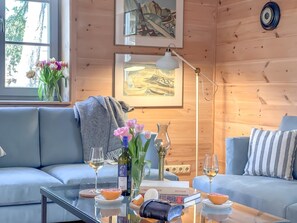 TV connectée, cheminée, lecteur de DVD