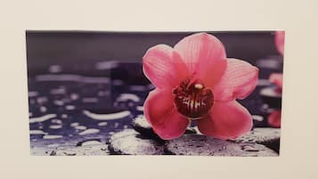 Una orquídea rosa solitaria con gotas de agua sobre rocas.