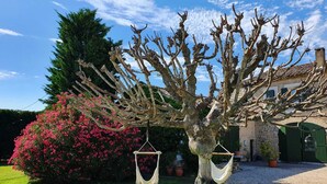 A tree with two hanging hammocks, a pink flowering bush, and a stone building in the background. - Mas La Pomarède (Robion)