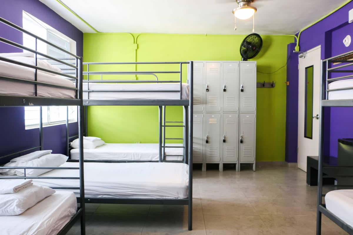 Basic Shared Dormitory, Mixed Dorm (1 bed in 8-bed dormitory)