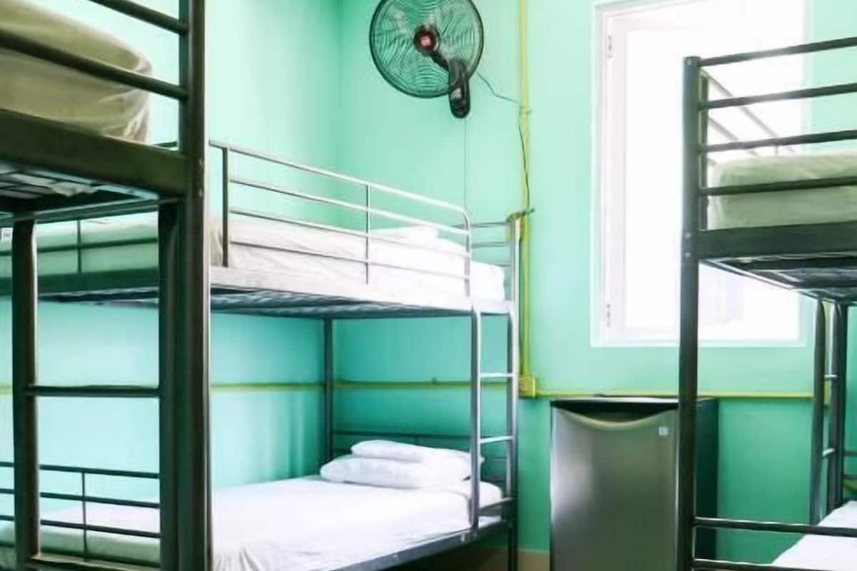 Basic Shared Dormitory, Mixed Dorm (1 bed in 6-bed dormitory)
