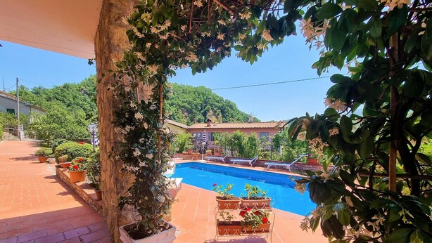 A swimming pool surrounded by potted plants and a stone wall. - Villa Piazza, private solar heated pool,  walk to all facilities!  WIFI (Piazza al Serchio)