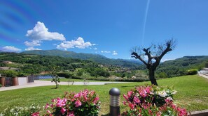 Property grounds - Magnolia, luxury villa, private heated pool, WIFI, walk restaurant, chef option! (Nicciano)