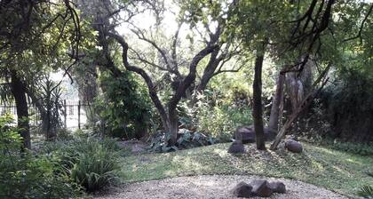 Evergreen Guest House