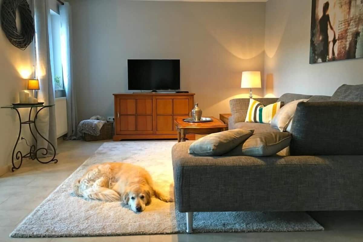 Un salon avec un canapé, un téléviseur, un chien allongé sur un tapis et un mur orné d’un tableau.