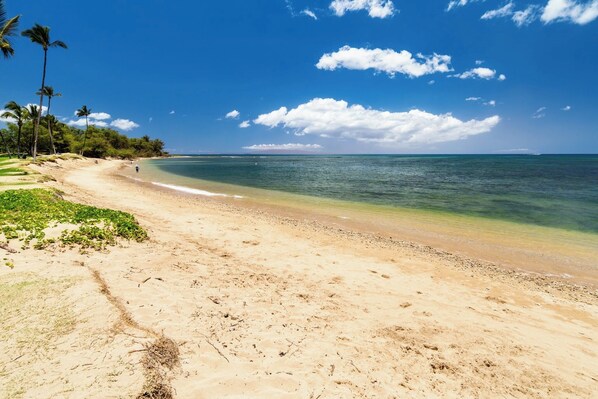 Beautiful Maui day
