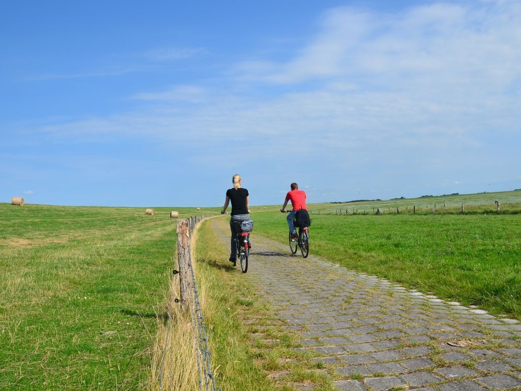 Zwei Personen fahren auf Fahrrädern auf einem Kopfsteinpflasterweg durch ein Wiesenfeld, im Hintergrund Heuballen.