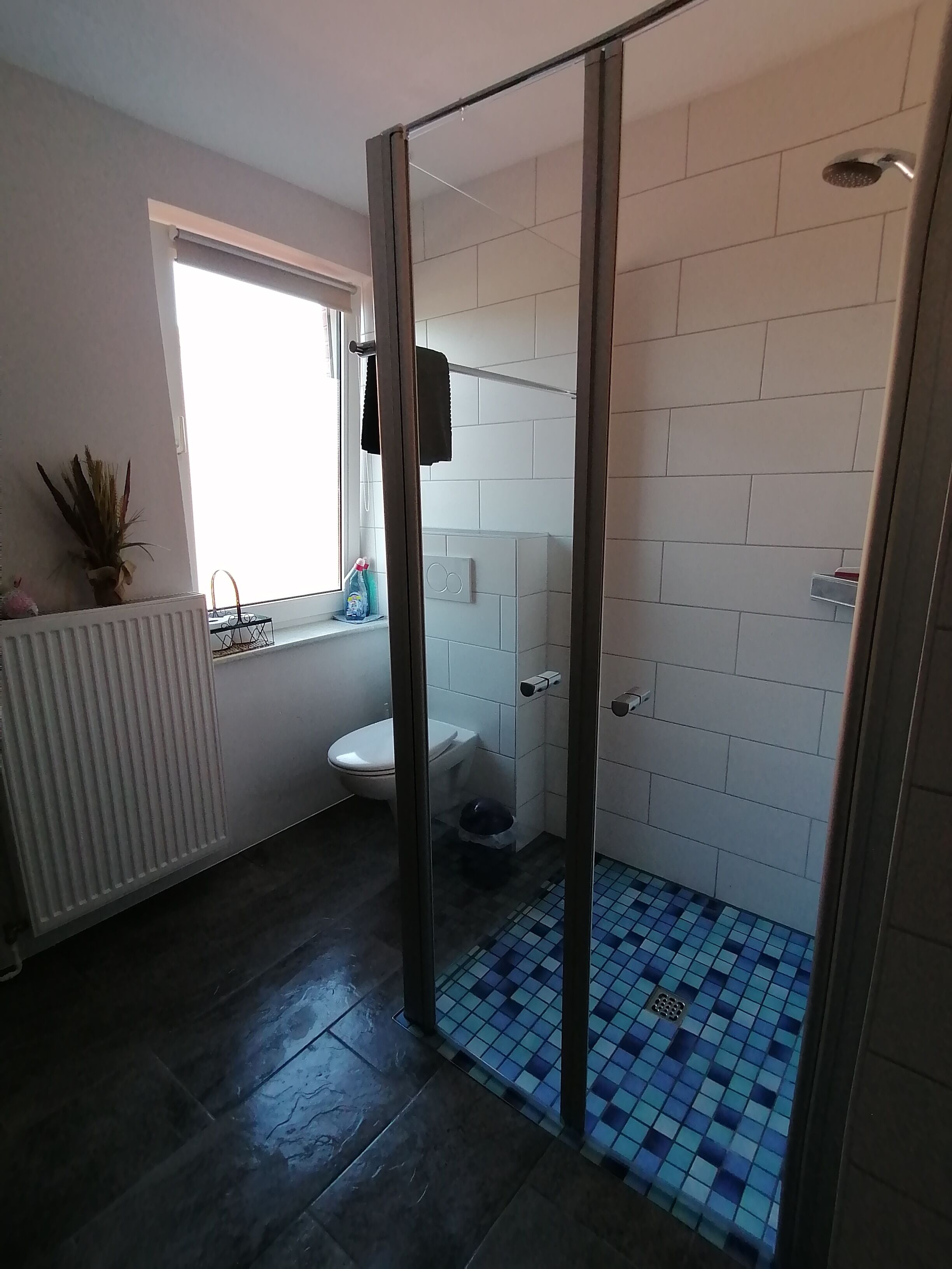Ein Badezimmer mit Dusche, Toilette und Handtuchheizung.