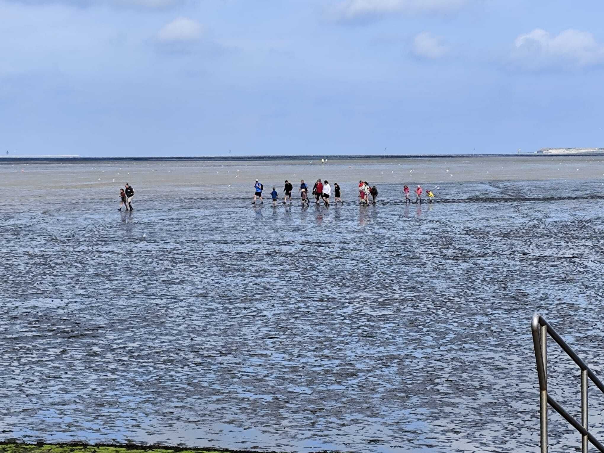 A group of people wading in shallow water near a metal railing.