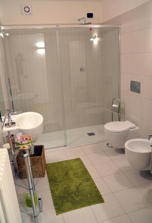 Shower, hair dryer, bidet, towels