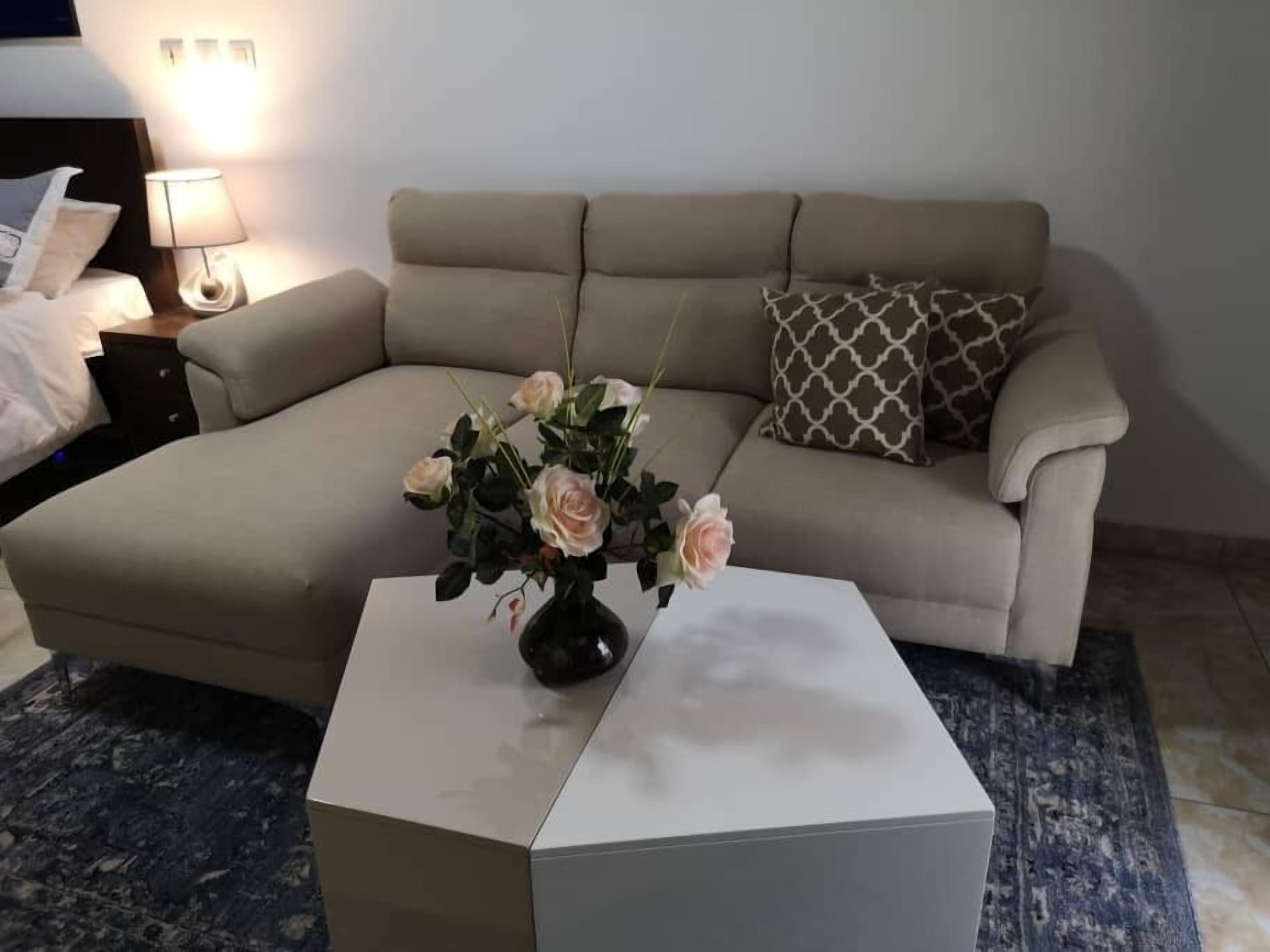 Deluxe Studio | Living room | 55-inch flat-screen TV with satellite channels, TV