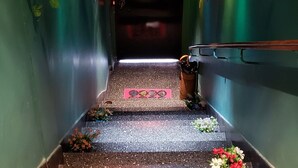 Um corredor com paredes verdes, escada e plantas decorativas.