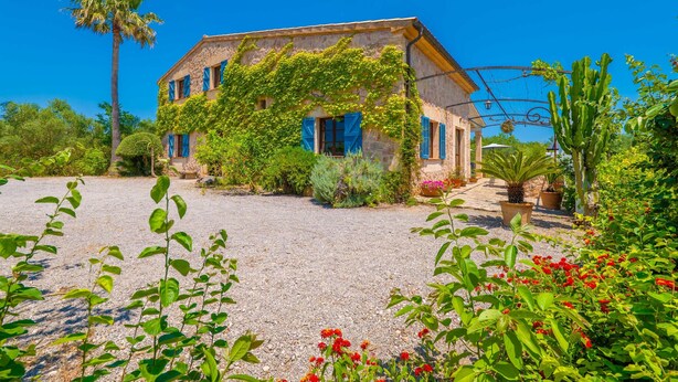 Una casa con camino de grava, rodeada de vegetación y una palmera.