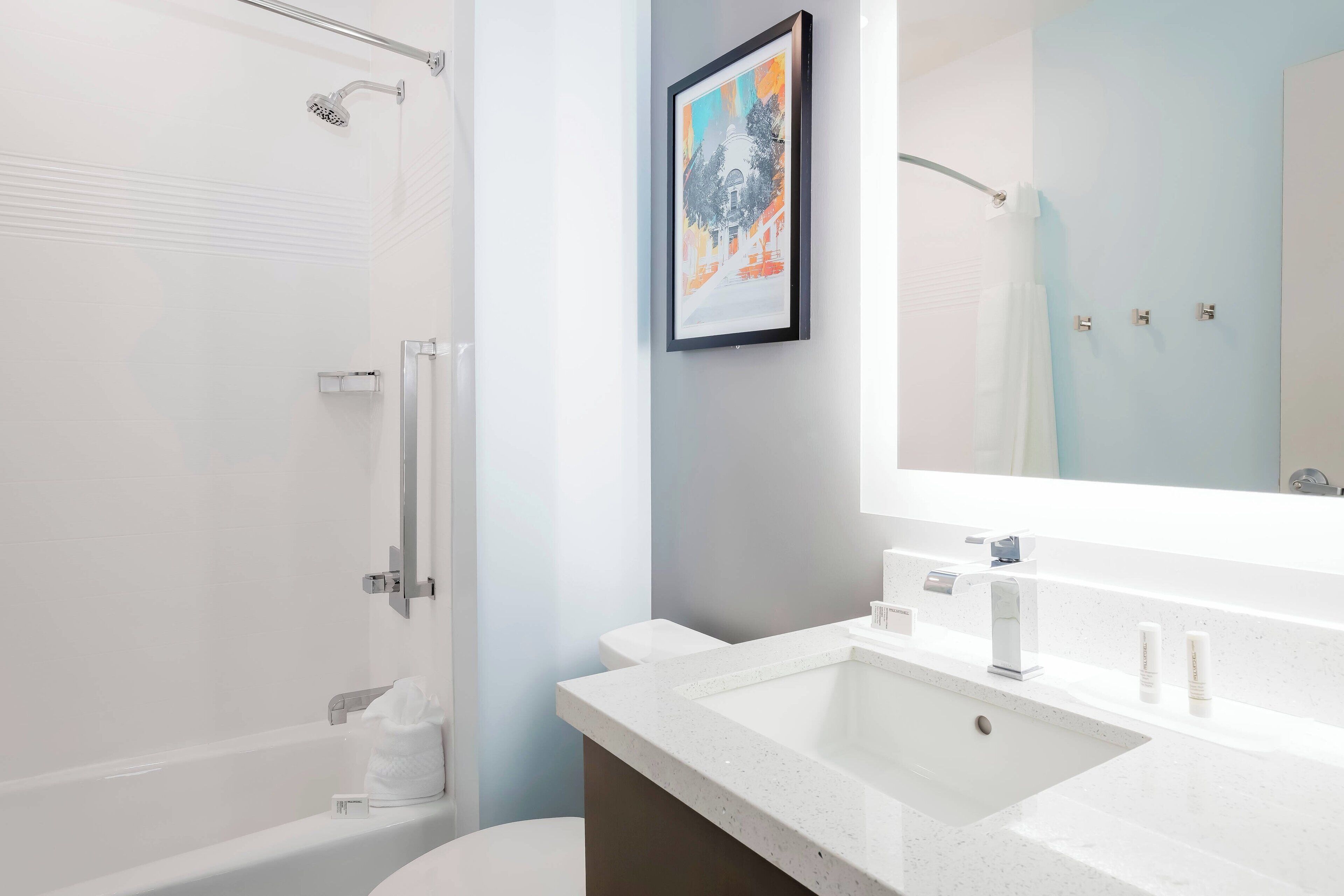 suite, 1 bedroom | bathroom | free toiletries, hair dryer, towels