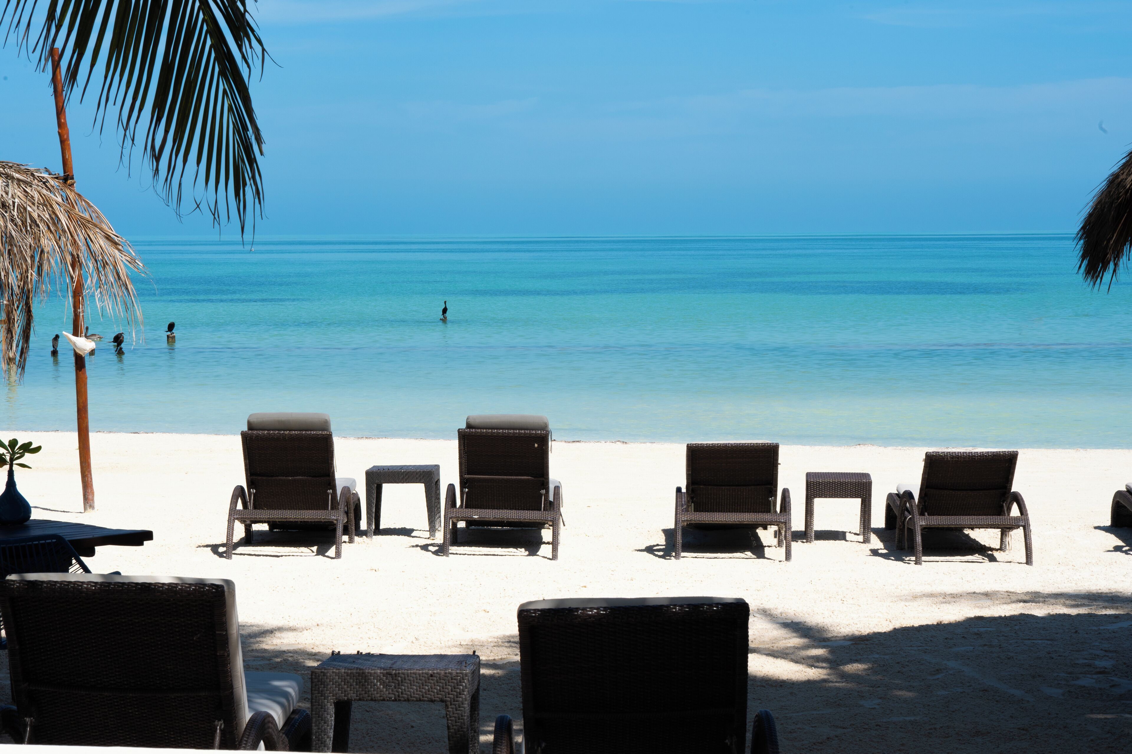 Foto - Hotel Boutique La Puerta Azul Beachfront - Adults Only