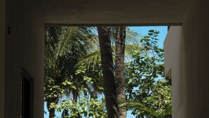 A pathway leading to a beach with palm trees and a clear view of the ocean. - Hotel Boutique La Puerta Azul Beachfront - Adults Only (Isla Holbox)