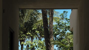Trên bãi biển, cát trắng, ghế dài tắm nắng, quán bar trên bãi biển