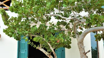 Ngoại thất
