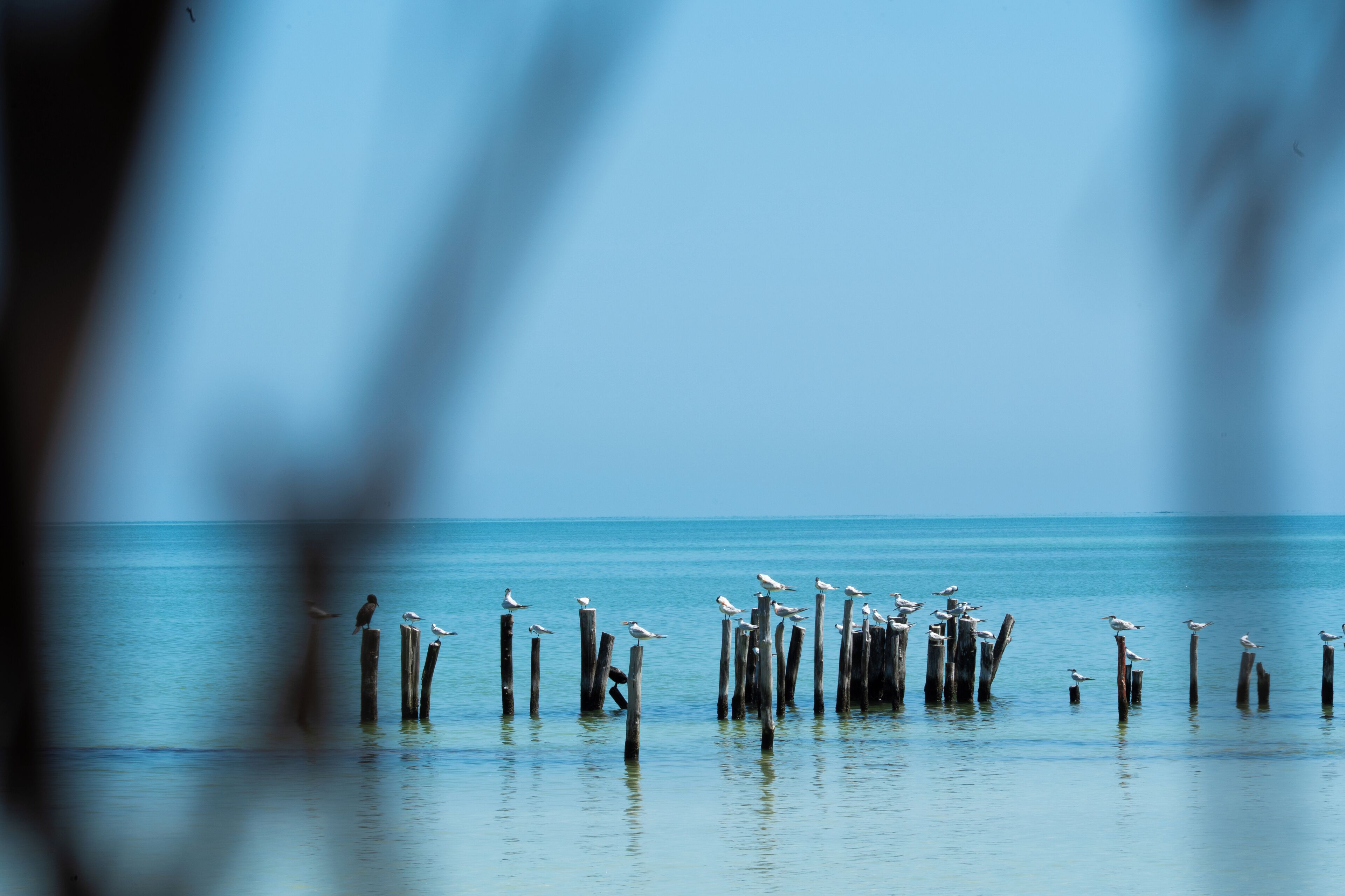 Foto - Hotel Boutique La Puerta Azul Beachfront - Adults Only