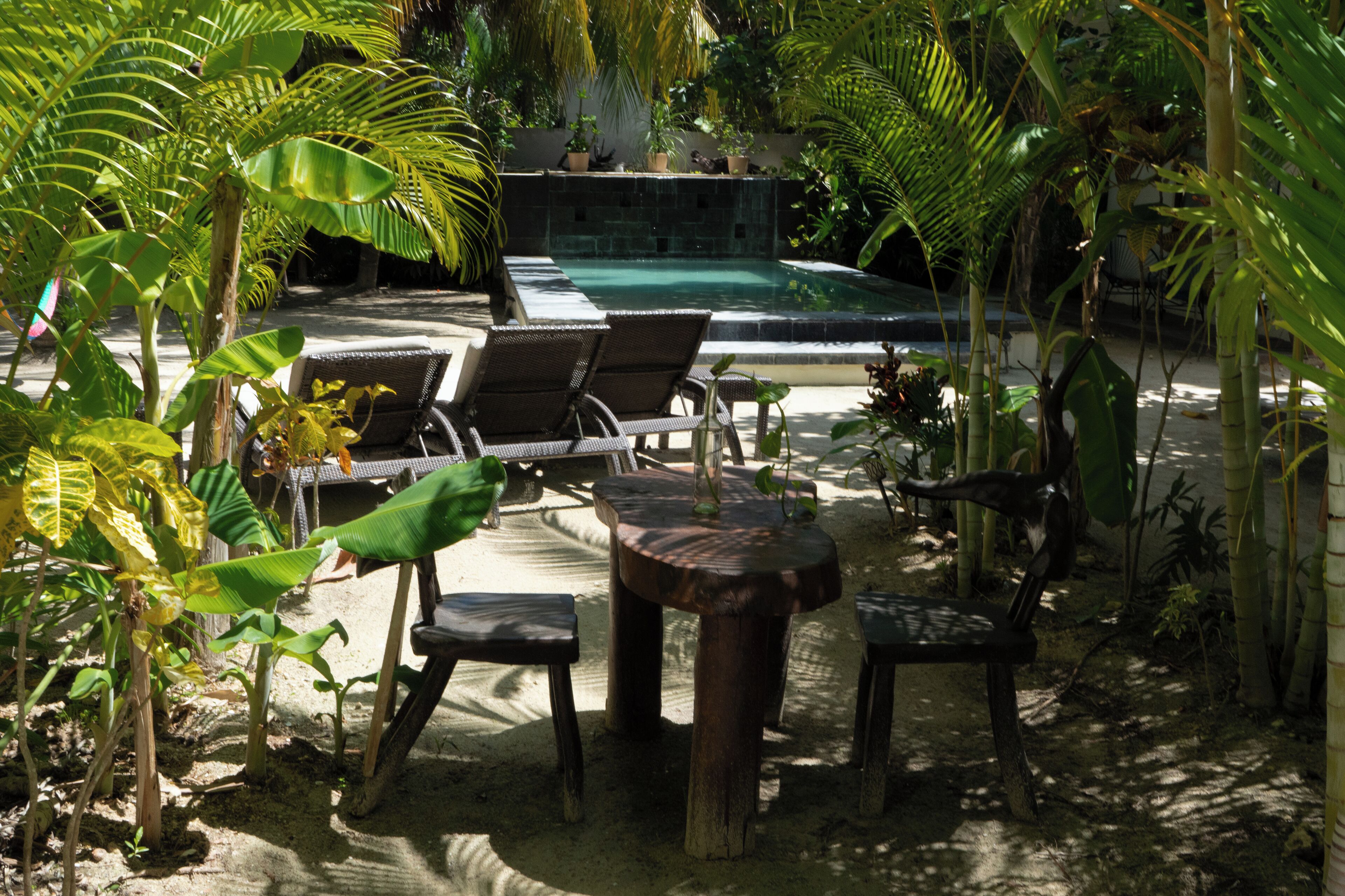 Un espace piscine doté de chaises longues et d’une table en bois, le tout entouré de plantes tropicales.