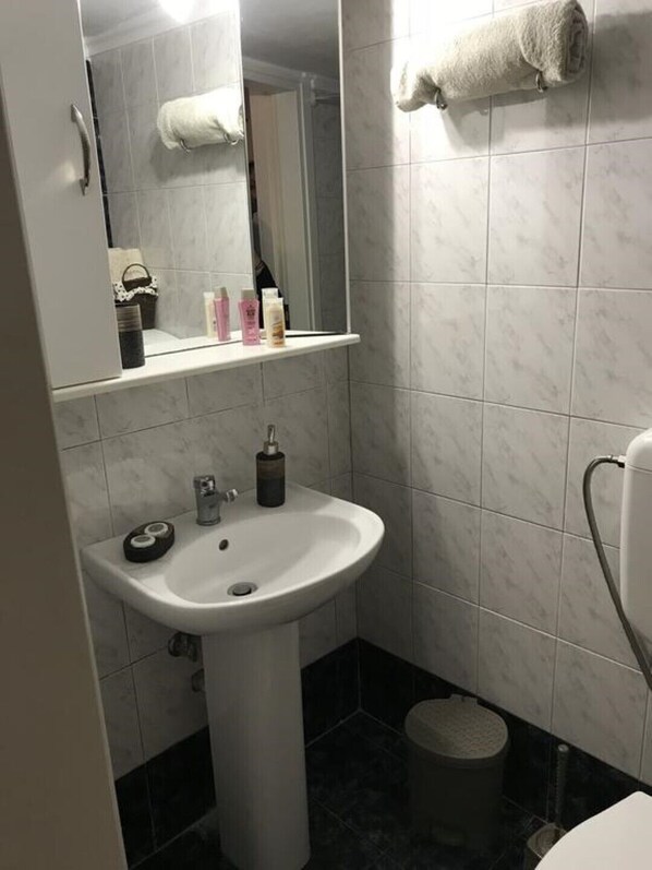 Hair dryer, slippers, towels, toilet paper