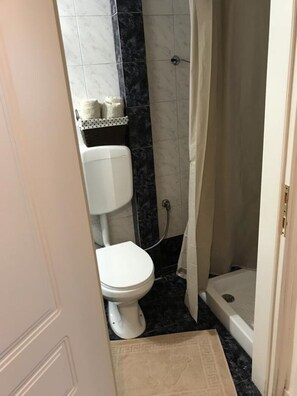 Hair dryer, slippers, towels, toilet paper