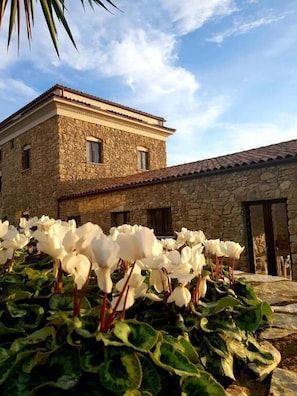 Fachada