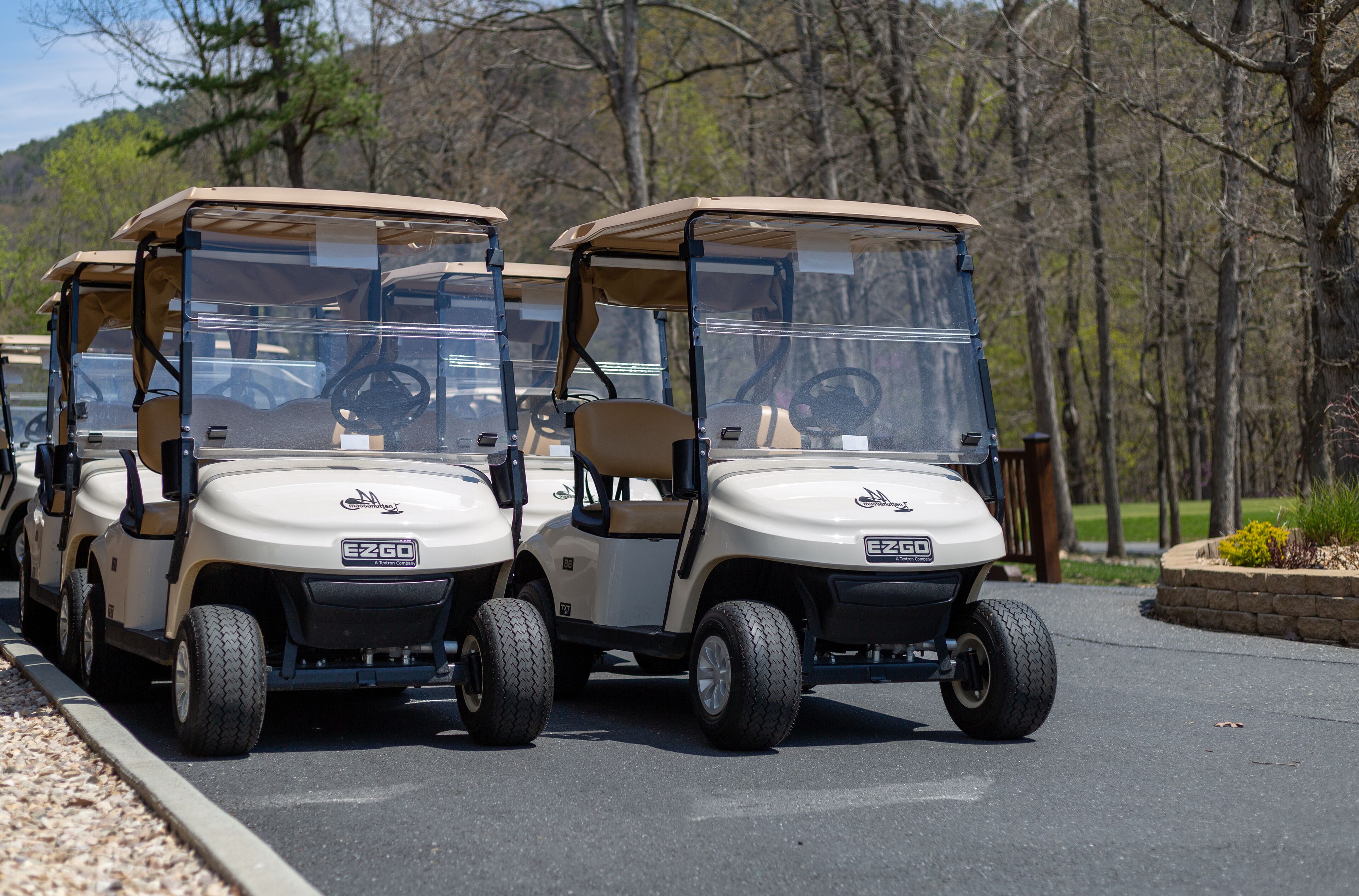 A row of golf carts parked on a road with trees in the background.