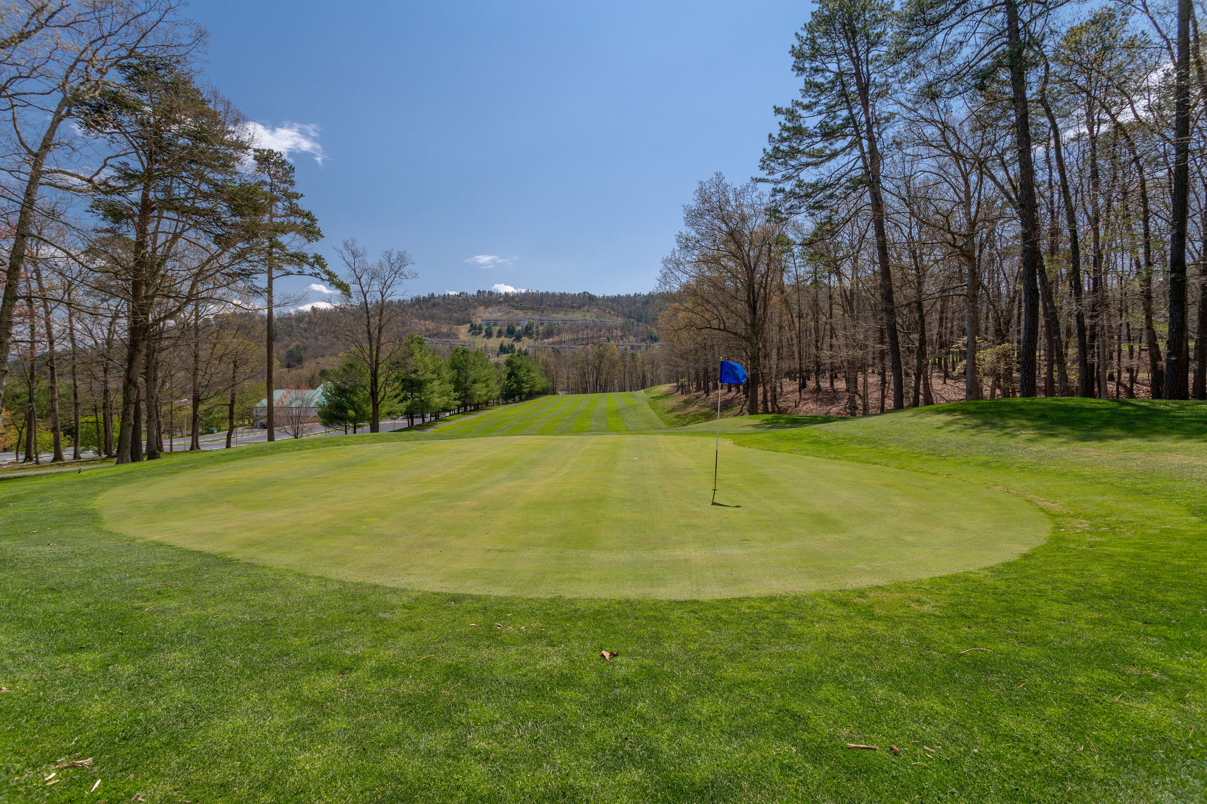 Ein gepflegter Golfplatz mit deutlicher Wegeführung, umgeben von hohen Bäumen und einem fernen Gebirge.