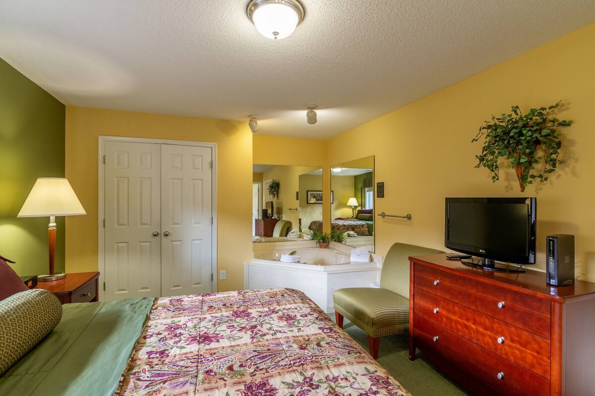Una habitación de hotel con cama, tocador, televisor, espejo y una planta.